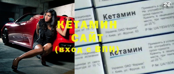 шишки Абаза