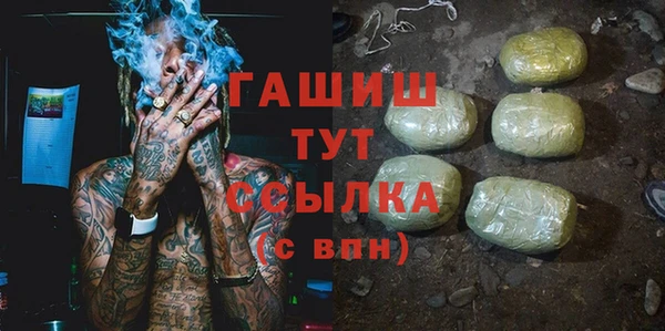 шишки Абаза