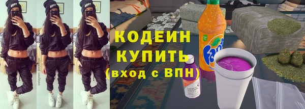 шишки Абаза