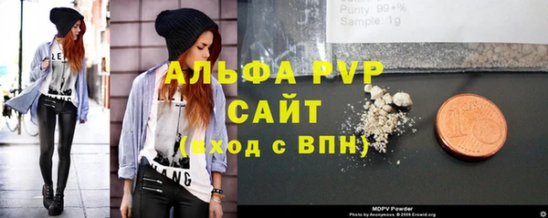 шишки Абаза